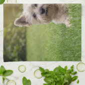 Kutest Baby Animals | Cairn Terrier Dog Theedoek (Gevouwen)