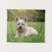 Kutest Baby Animals | Cairn Terrier Dog Wandkleed (Voorkant (horizontaal))