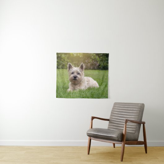 Kutest Baby Animals | Cairn Terrier Dog Wandkleed (In Situ (horizontaal))