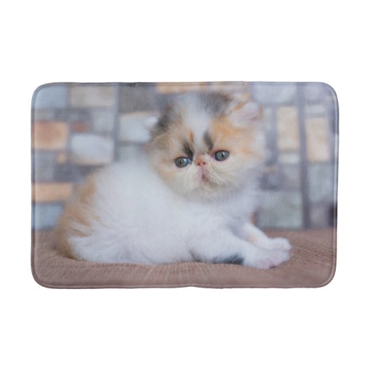 Kutest Baby Animals | Calico Persian Kitten Badmat (Voorkant)