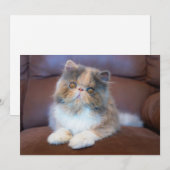 Kutest Baby Animals | Calico Persian Kitten Bedankkaart (Voorkant / Achterkant)