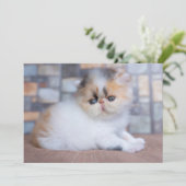 Kutest Baby Animals | Calico Persian Kitten Bedankkaart (Staand voorkant)