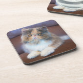 Kutest Baby Animals | Calico Persian Kitten Bier Onderzetter (Linkerzijde)