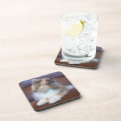 Kutest Baby Animals | Calico Persian Kitten Bier Onderzetter (Rechterzijde)