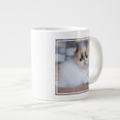 Kutest Baby Animals | Calico Persian Kitten Grote Koffiekop (Voorkant rechts)