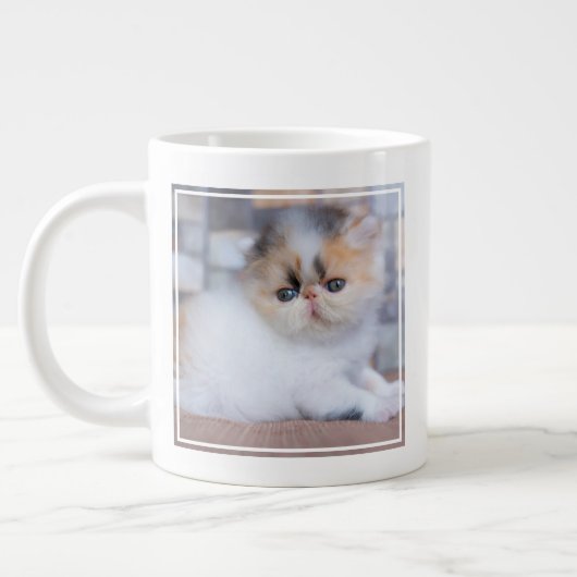 Kutest Baby Animals | Calico Persian Kitten Grote Koffiekop (Links)
