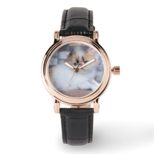 Kutest Baby Animals   Calico Persian Kitten Horloge