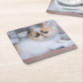 Kutest Baby Animals | Calico Persian Kitten Kartonnen Onderzetters (Schuin)