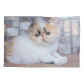 Kutest Baby Animals | Calico Persian Kitten Kussensloop (Achterkant)