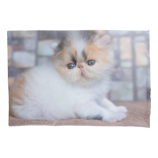 Kutest Baby Animals | Calico Persian Kitten Kussensloop (Voorkant)
