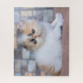 Kutest Baby Animals | Calico Persian Kitten Legpuzzel (Verticaal)