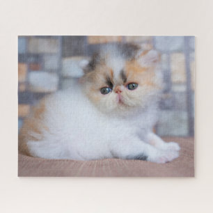 Kutest Baby Animals Calico Persian Kitten Legpuzzel