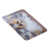 Kutest Baby Animals | Calico Persian Kitten Magneet (Rechterzijde)