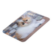 Kutest Baby Animals | Calico Persian Kitten Magneet (Linkerzijde)