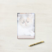 Kutest Baby Animals | Calico Persian Kitten Post-it® Notes (Op bureau)
