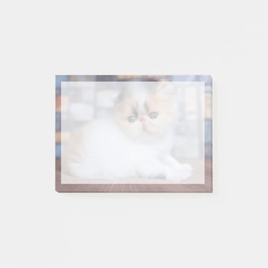 Kutest Baby Animals | Calico Persian Kitten Post-it® Notes (Voorkant)