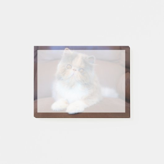 Kutest Baby Animals | Calico Persian Kitten Post-it® Notes (Voorkant)