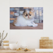 Kutest Baby Animals | Calico Persian Kitten Poster (Keuken)