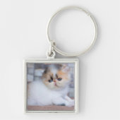 Kutest Baby Animals | Calico Persian Kitten Sleutelhanger (Voorkant)