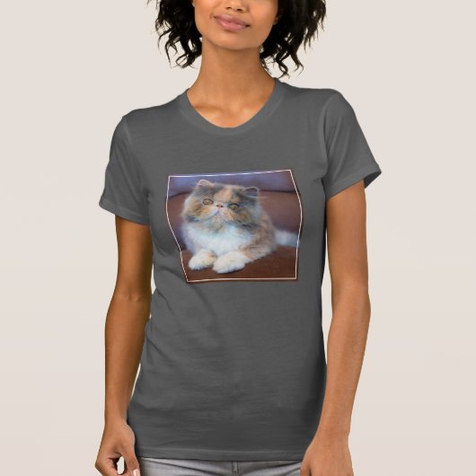 Kutest Baby Animals | Calico Persian Kitten T-shirt (Voorkant)