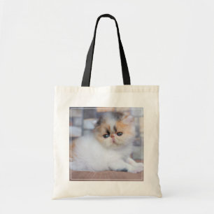 Kutest Baby Animals Calico Persian Kitten Tote Bag