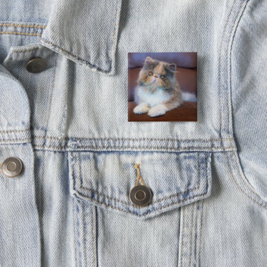 Kutest Baby Animals | Calico Persian Kitten Vierkante Button 5,1 Cm (In situ)