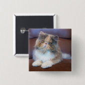 Kutest Baby Animals | Calico Persian Kitten Vierkante Button 5,1 Cm (Voorkant /achterkant)