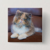 Kutest Baby Animals | Calico Persian Kitten Vierkante Button 5,1 Cm (Voorkant)