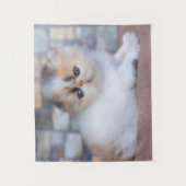 Kutest Baby Animals | Calico Persian Kitten Wandkleed (Voorkant)