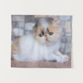 Kutest Baby Animals | Calico Persian Kitten Wandkleed (Voorkant (horizontaal))
