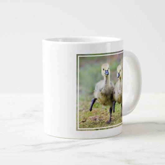 Kutest Baby Animals | Canadese Goose Goslings Grote Koffiekop (Voorkant rechts)