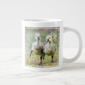Kutest Baby Animals | Canadese Goose Goslings Grote Koffiekop (Rechts)