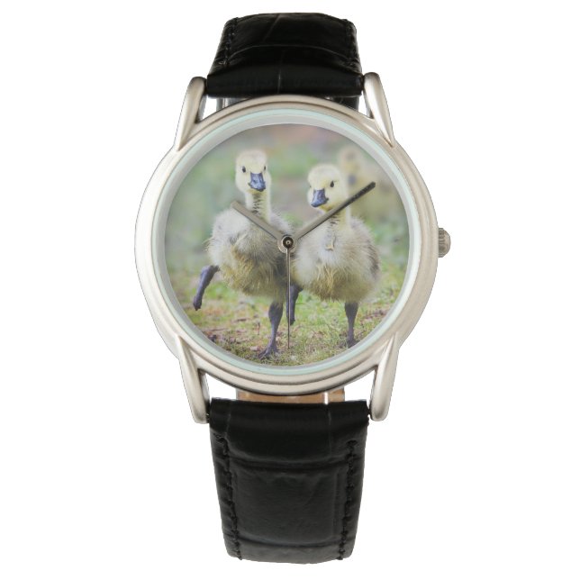 Kutest Baby Animals | Canadese Goose Goslings Horloge (Voorkant)