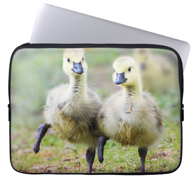 Kutest Baby Animals | Canadese Goose Goslings Laptop Sleeve (Voorkant)
