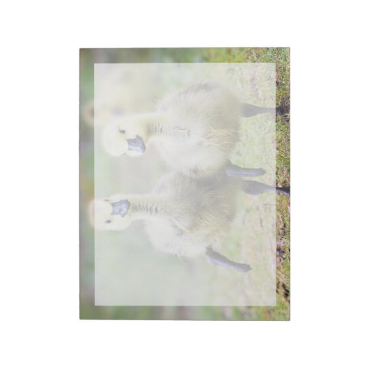 Kutest Baby Animals | Canadese Goose Goslings Notitieblok (Linkerzijde)