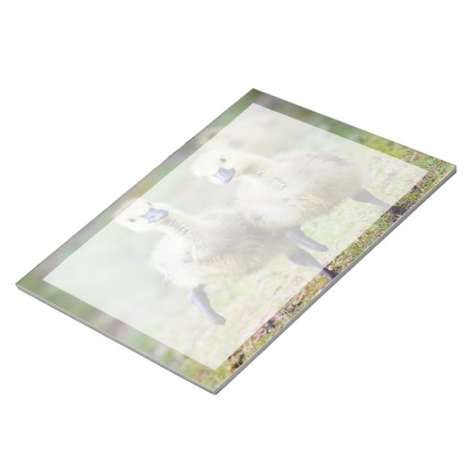 Kutest Baby Animals | Canadese Goose Goslings Notitieblok (Schuin)