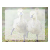 Kutest Baby Animals | Canadese Goose Goslings Notitieblok (Voorkant)