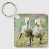 Kutest Baby Animals | Canadese Goose Goslings Sleutelhanger (Voorkant)