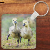 Kutest Baby Animals | Canadese Goose Goslings Sleutelhanger (Achterkant)