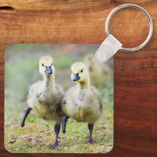 Kutest Baby Animals | Canadese Goose Goslings Sleutelhanger (Achterkant)