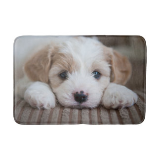 Kutest Baby Animals | Cavashon Puppy Badmat