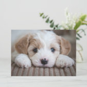 Kutest Baby Animals | Cavashon Puppy Bedankkaart (Staand voorkant)