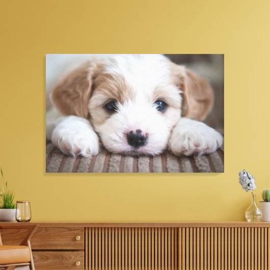 Kutest Baby Animals | Cavashon Puppy Canvas Afdruk (Insitu (Woonkamer))
