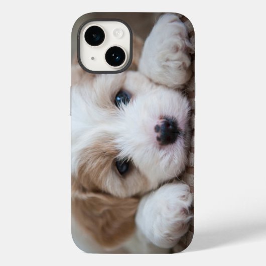 Kutest Baby Animals | Cavashon Puppy Case-Mate iPhone Case (Achterkant)