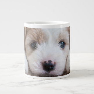 Kutest Baby Animals | Cavashon Puppy Grote Koffiekop