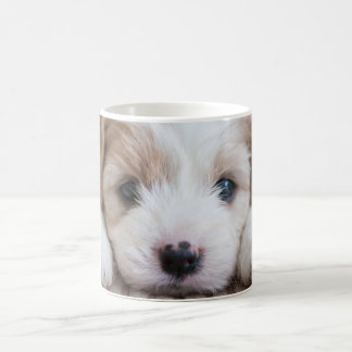 Kutest Baby Animals | Cavashon Puppy Koffiemok