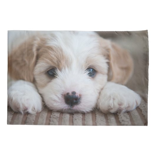 Kutest Baby Animals | Cavashon Puppy Kussensloop (Achterkant)