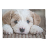 Kutest Baby Animals | Cavashon Puppy Kussensloop (Voorkant)