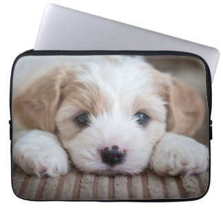 Kutest Baby Animals | Cavashon Puppy Laptop Sleeve