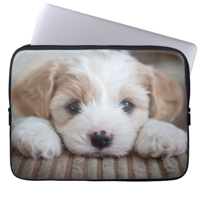 Kutest Baby Animals | Cavashon Puppy Laptop Sleeve (Voorkant)